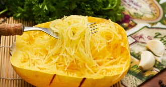 Courge spaghetti  (pc)